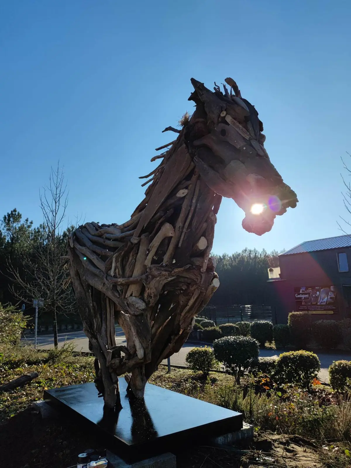 Cheval monumental en bois flotté achevé en extérieur