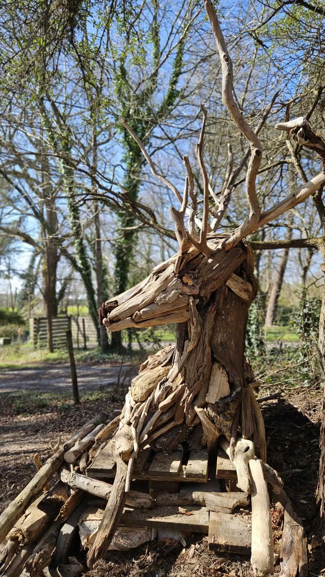 Tête de cerf sculptée en bois, vue de profil